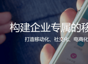 為何訂單管理SaaS能衍變成B2B電商？易訂貨CEO馮頡是這么說(shuō)的